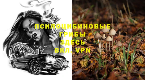 спиды Киренск