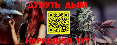 эйфоретик Кингисепп