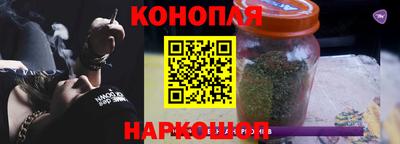 эйфоретик Кингисепп