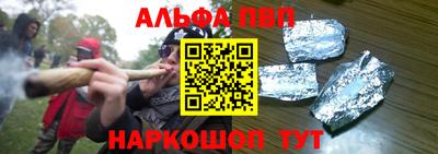 эйфоретик Кингисепп