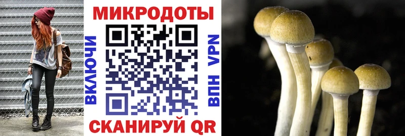 продажа наркотиков это какой сайт Галлюциногенные грибы Psilocybe Ступино