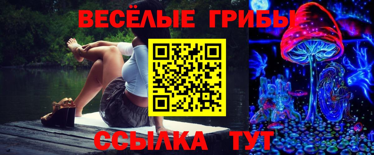 даркнет сайт  Вход с VPN  Ступино  Галлюциногенные грибы мицелий 