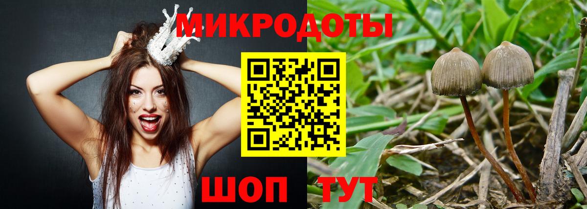 Псилоцибиновые грибы прущие грибы Ступино