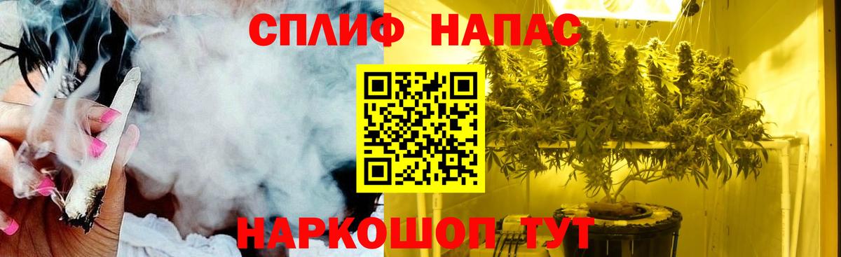 Марихуана сатива  Каннабис White Widow  Бошки марихуана Ganja  Вход с VPN  Бошки марихуана SATIVA & INDICA  Ступино 